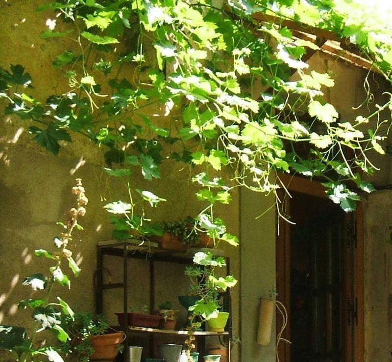 ホテル La Vigne Bleue Olonzac エクステリア 写真