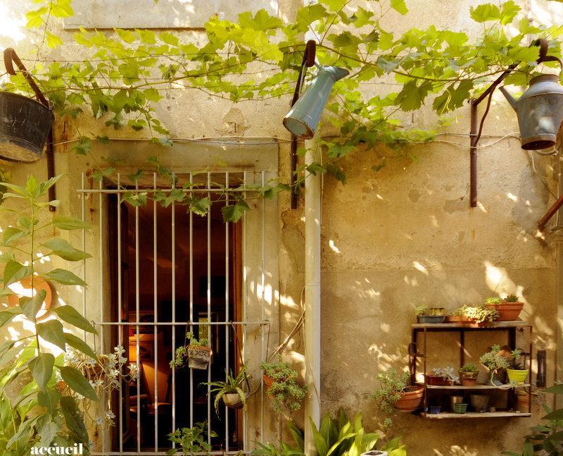 ホテル La Vigne Bleue Olonzac エクステリア 写真